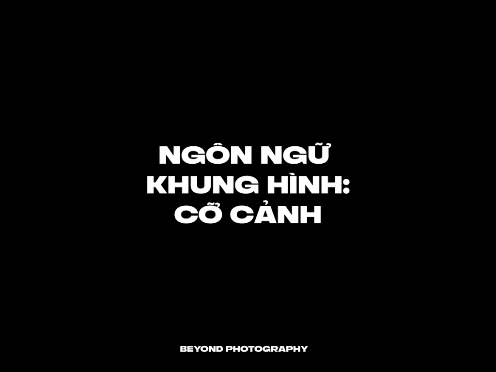 Ngôn ngữ khung hình: các loại cỡ cảnh