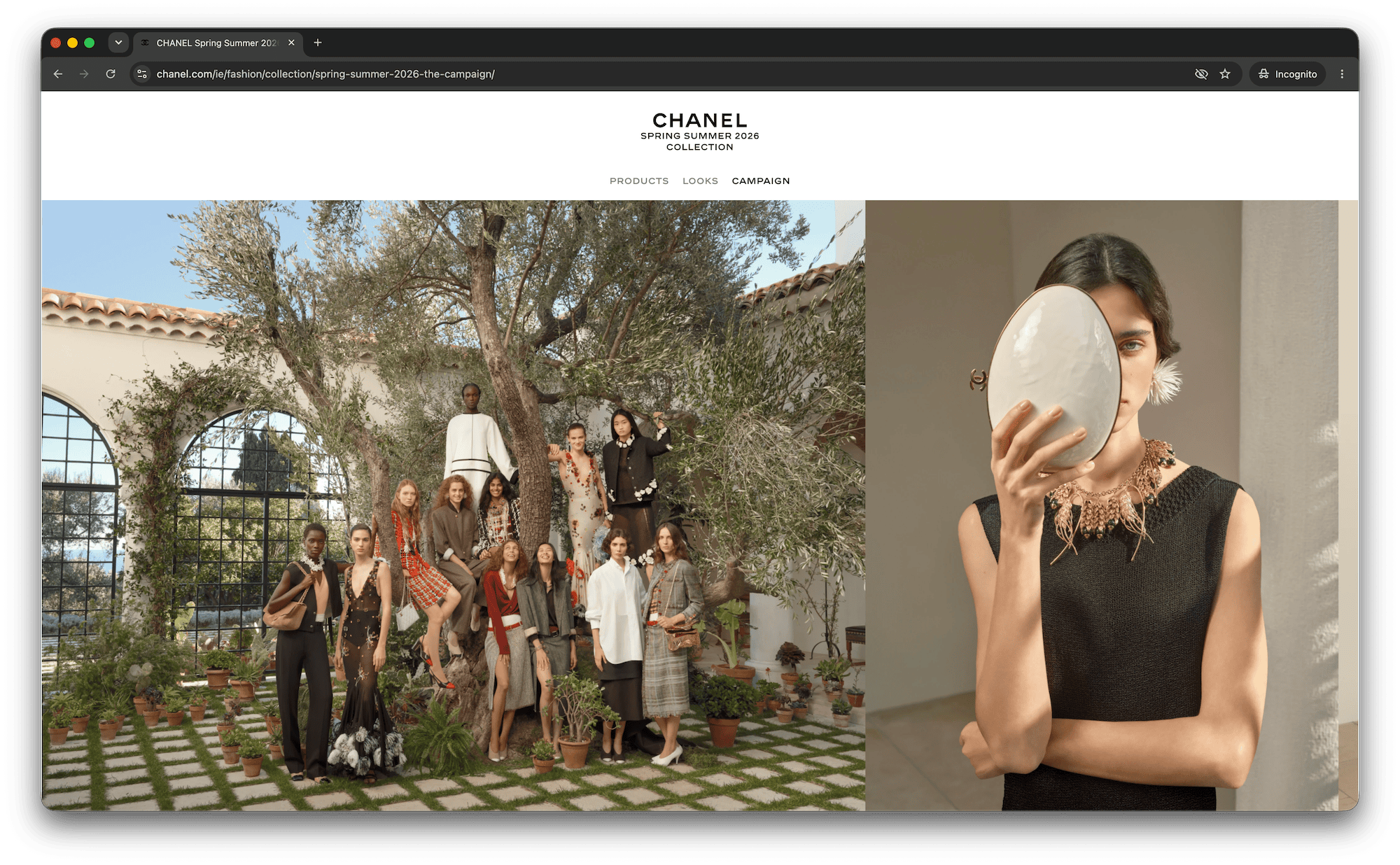 https://www.chanel.com/ie/fashion/collection/spring-summer-2026-the-campaign/